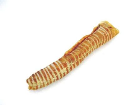 K9 Kravings Trachea Jumbo Supply