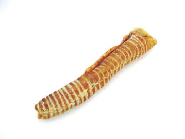 K9 Kravings Trachea Jumbo Supply