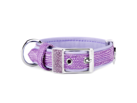 My Family Saint Tropez Dog Collar Liliac 1 2 Inch Width For Sale