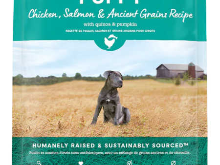 Open Farm Ancient Grain Chicken & Salmon Puppy For Cheap