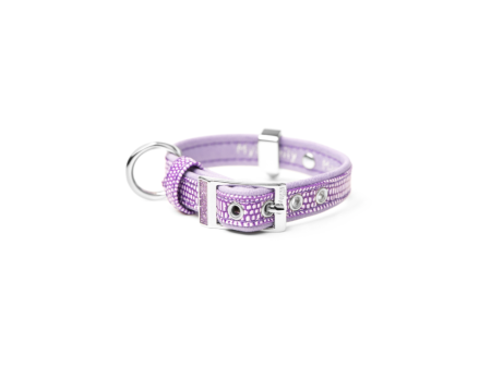 My Family Saint Tropez Dog Collar Liliac 3 8 Inch Width Online Hot Sale