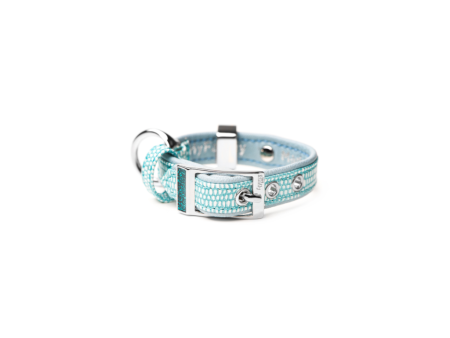 My Family Saint Tropez Dog Collar Turquoise 3 8 Inch Width Online Hot Sale