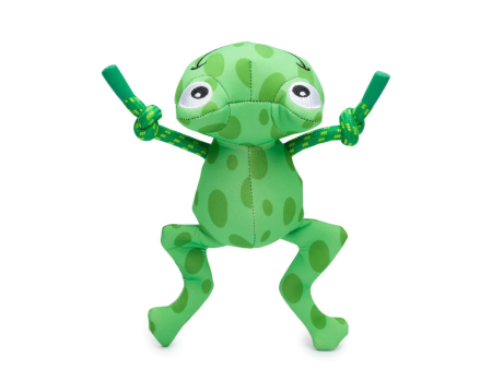 FabDog Floaties Frog Discount