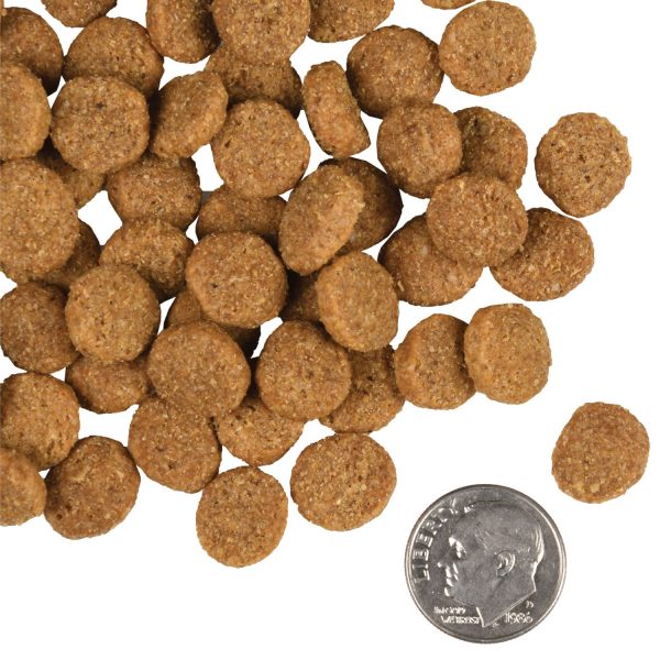 Fromm Dry Dog Food Gold Large Breed Adult For Discount