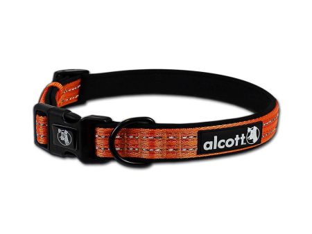 Alcott Dog Collar Orange For Sale