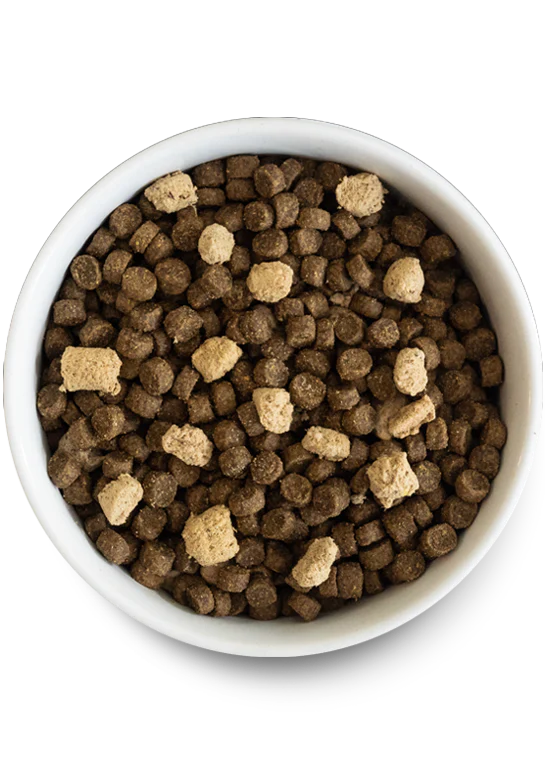 Open Farm RawMix Grain Free Front Range Dog Food Online now