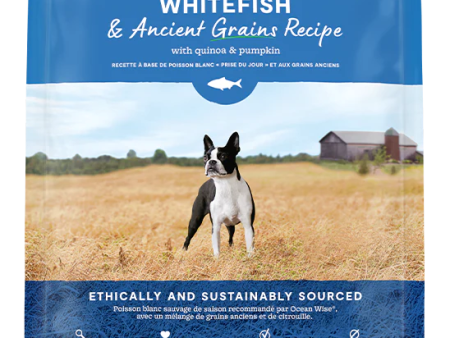 Open Farm Ancient Grain Whitefish Online