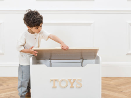 Toy Storage Box - Imperfect Online Hot Sale