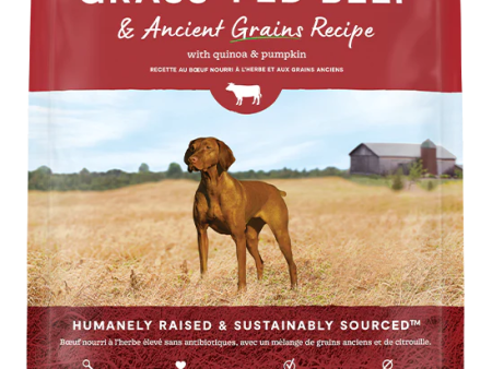 Open Farm Ancient Grain Beef Hot on Sale