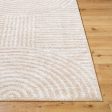 Surya Fossay Shag FSG-2332 Light Beige Modern Machine Woven Rug Online now