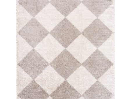 Surya Fossay Shag FSG-2327 Light Beige Modern Machine Woven Rug on Sale