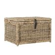 happimess Caden 30  Wicker Storage Trunk, Brown Cheap