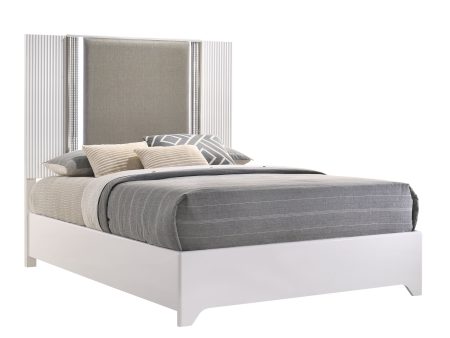 Queen BED Cheap