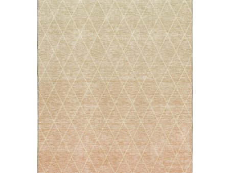 Dalyn Rugs Lazio LZ2 Salmon transitional Machine Made Rug Cheap