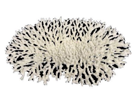 Weco Products South Pacific Coral Oval Tabletop Ornament White, 1 Each Large by Weco For Sale