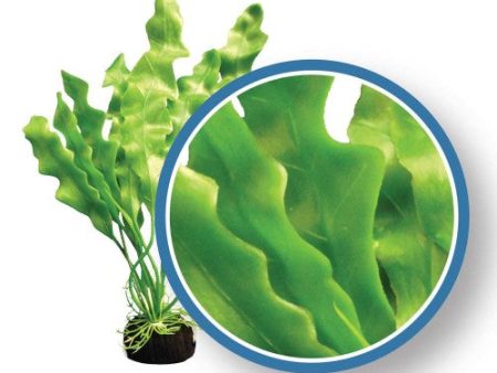 Weco Products Freshwater Pro Series Amazon Ruffled Sword Aquarium Plant Green, 1 Each 9 in by Weco on Sale