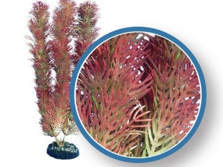 Weco Products Freshwater Pro Series Cabomba Aquarium Plant Red, 1 Each 12 in by Weco Online