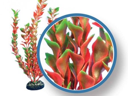 Weco Products Freshwater Pro Series Ludwigia Aquarium Plant Red, 1 Each 24 in by Weco Online Hot Sale