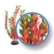 Weco Products Freshwater Pro Series Ludwigia Aquarium Plant Red, 1 Each 12 in by Weco Online now