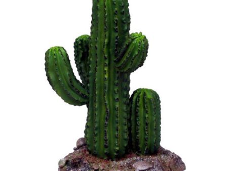 Weco Products Wecorama Badlands Saguaro Cactus Terrarium Ornament Brown, Green, 1 Each 5.6 in, Short by Weco For Sale